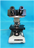 Olympus Microscope 939548